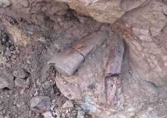 Large, partially exposed fossilized bones embedded in rocky soil, likely part of a paleontological excavation site.